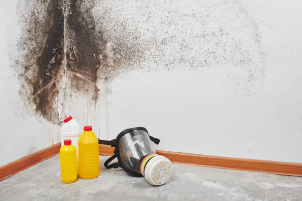 Best Certified Mold Removal  in Le Grand, CA