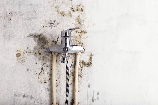 Best Affordable Mold Removal  in Le Grand, CA