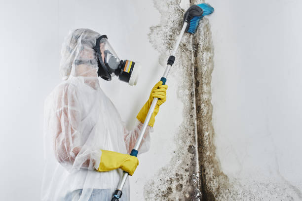 Best Residential Mold Removal  in Le Grand, CA