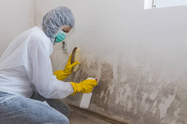 Trusted Le Grand, CA Mold Removal Experts