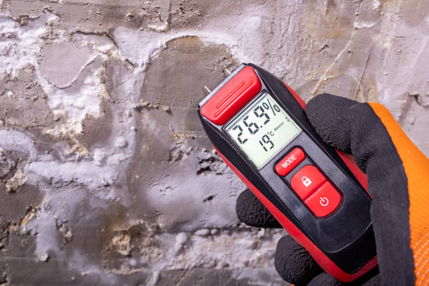 Crawl Space Mold Removal in Le Grand, CA