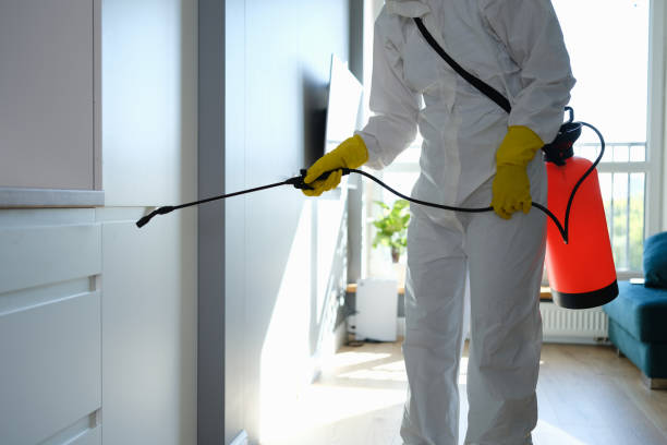 Best Fast Mold Removal  in Le Grand, CA