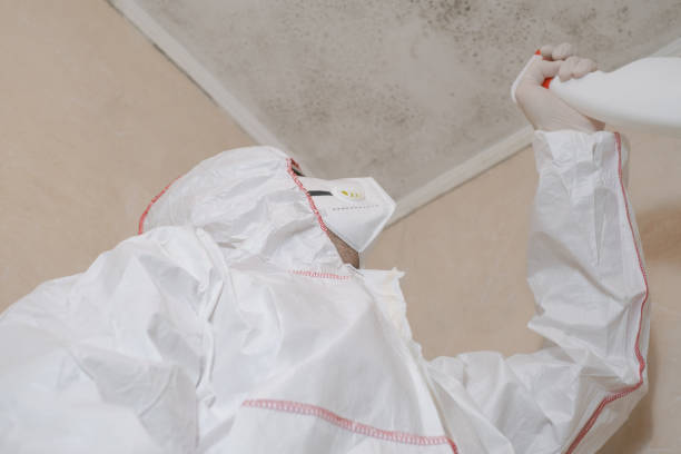 Best Mold Testing  in Le Grand, CA