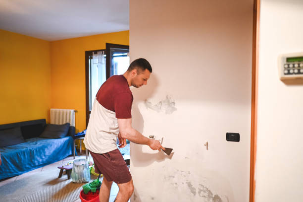 Best Attic Mold Removal  in Le Grand, CA