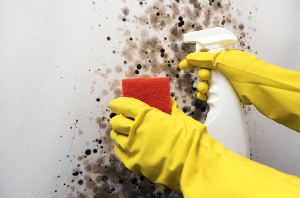 Best Crawl Space Mold Removal  in Le Grand, CA