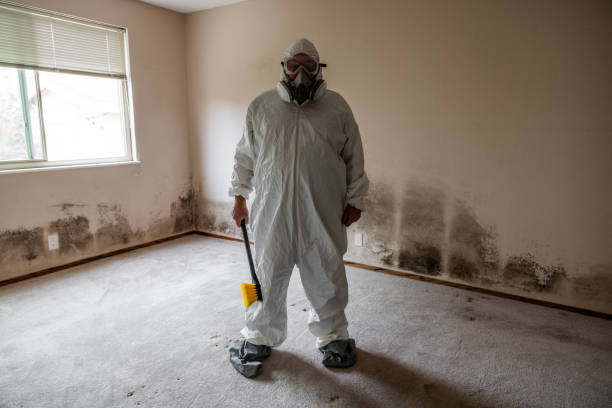 Best Certified Mold Removal  in Le Grand, CA