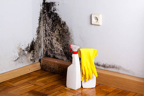 Best Residential Mold Removal  in Le Grand, CA