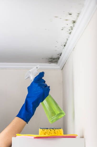Best Toxic Mold Removal  in Le Grand, CA