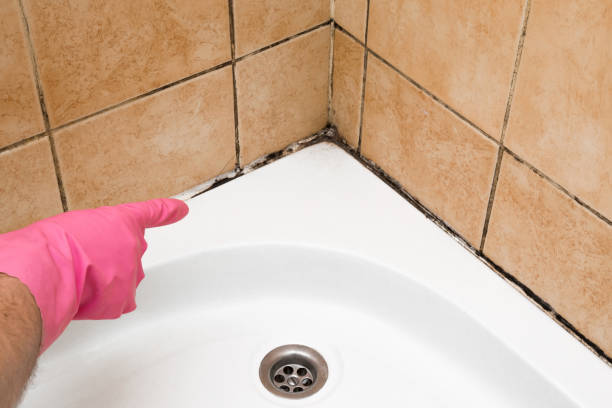 Best Residential Mold Removal  in Le Grand, CA